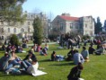 Sohbetin Adresi